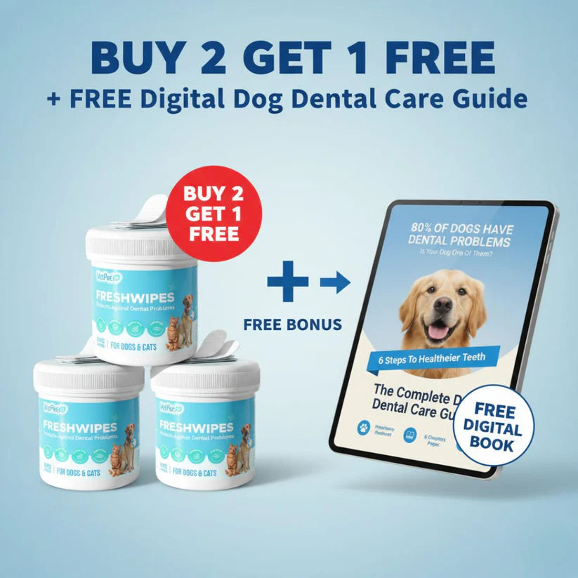 FreshWipes Kit - Protects Against Dental Diseases