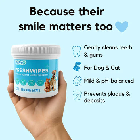 FreshWipes Kit - Protects Against Dental Diseases