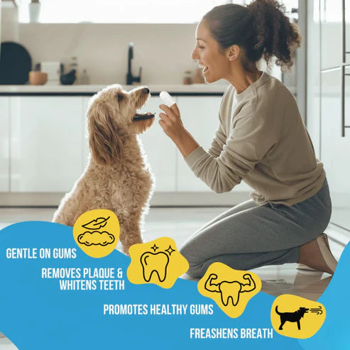 FreshWipes Kit - Protects Against Dental Diseases