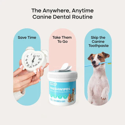 FreshWipes Kit - Protects Against Dental Diseases