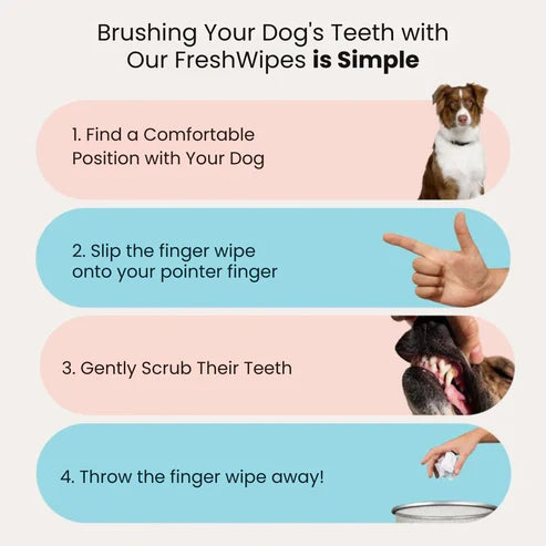 FreshWipes Kit - Protects Against Dental Diseases