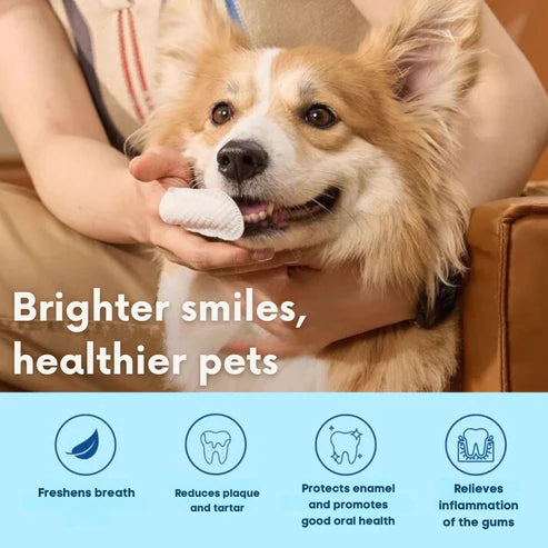 FreshWipes Kit - Protects Against Dental Diseases