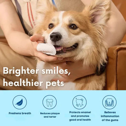 FreshWipes Kit - Protects Against Dental Diseases