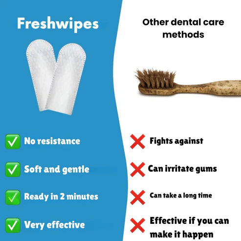 FreshWipes Kit - Protects Against Dental Diseases