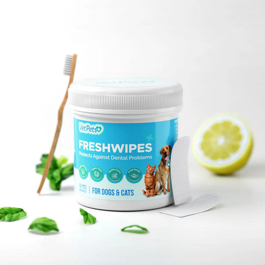 FreshWipes Kit - Protects Against Dental Diseases