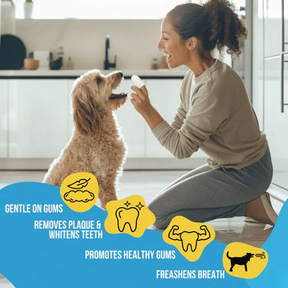 FreshWipes Kit - Protects Against Dental Diseases