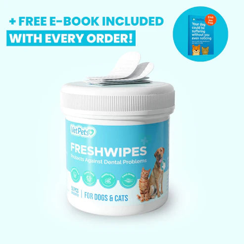 FreshWipes Kit - Protects Against Dental Diseases
